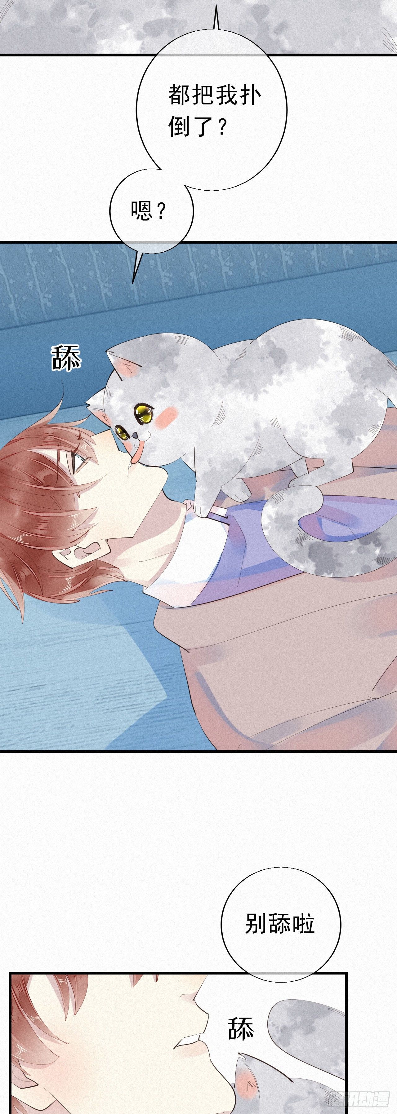 24.逗猫23