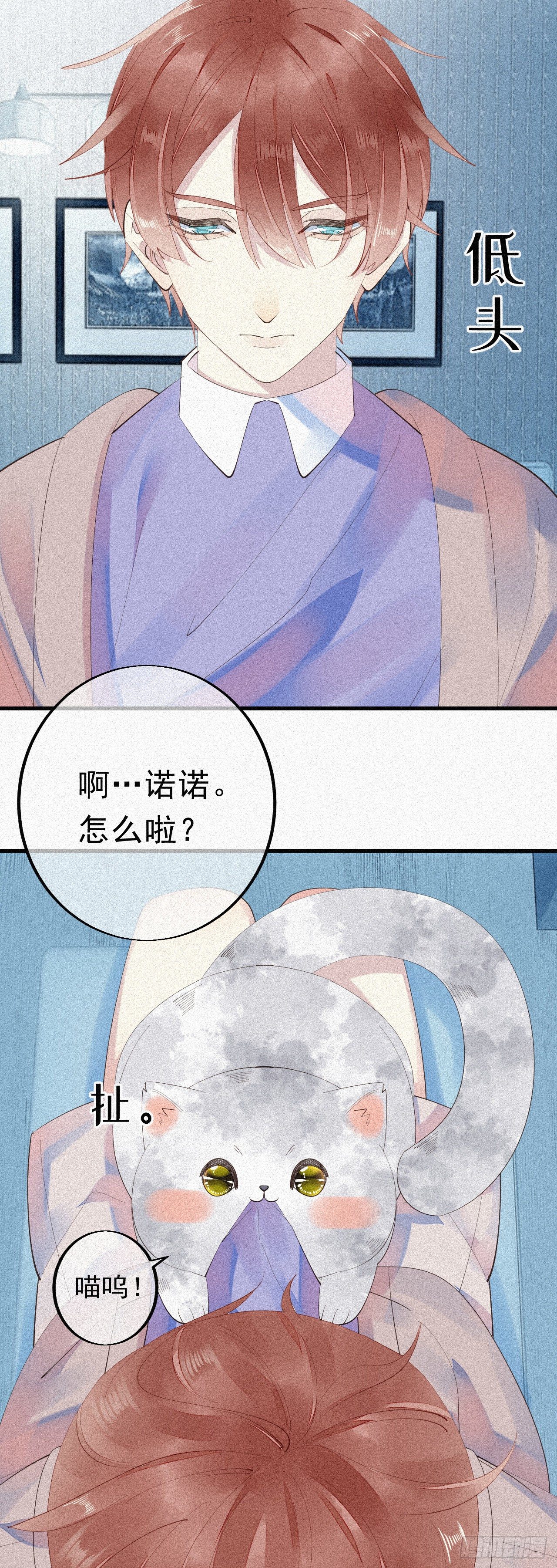 24.逗猫13