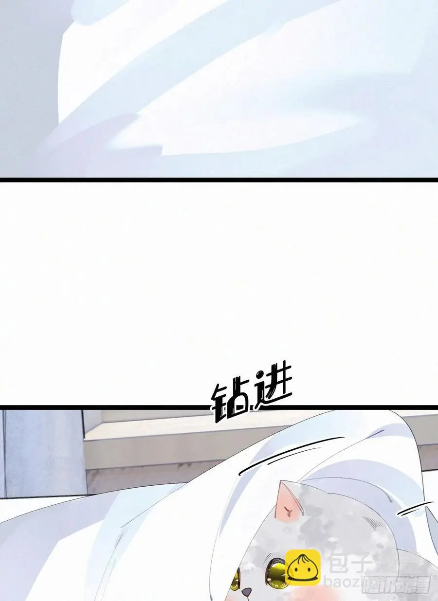 75.是时候安排绝育了14