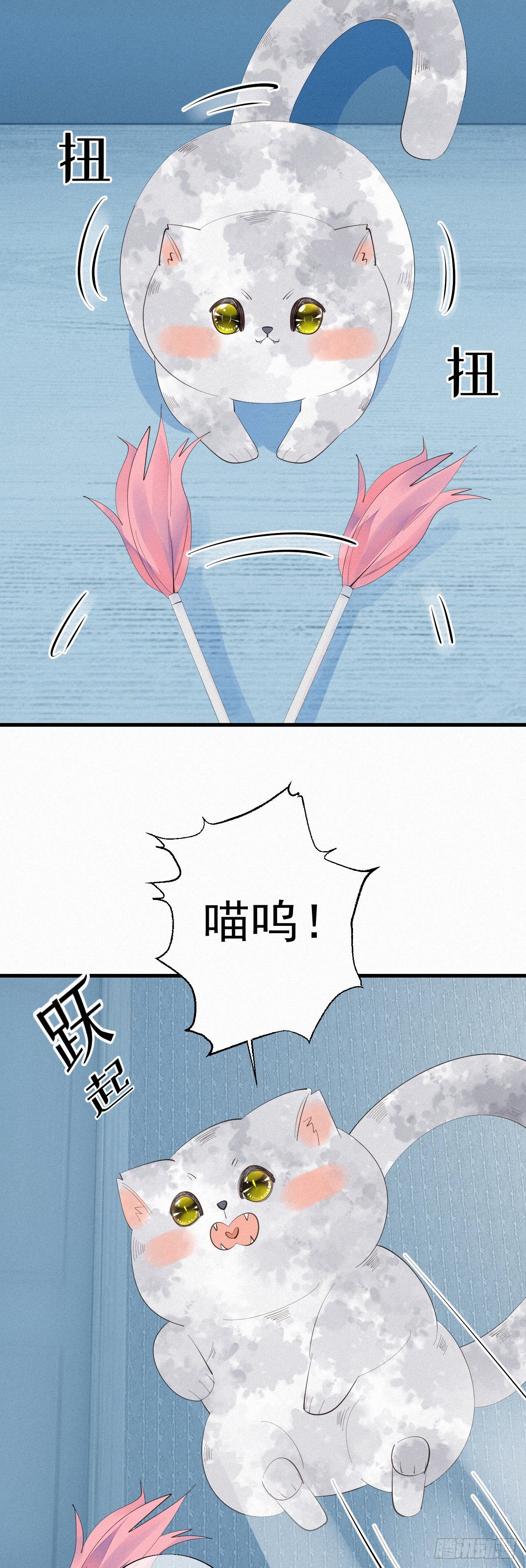 24.逗猫19