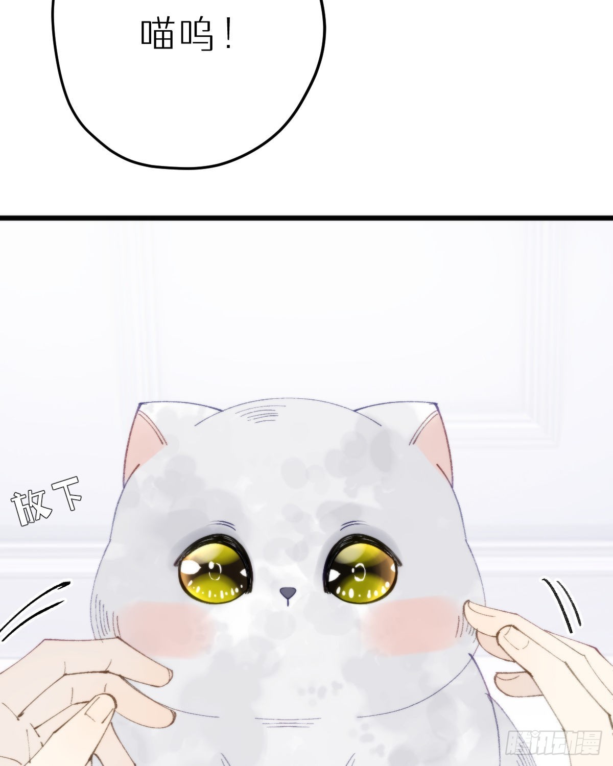 113.送你花花54