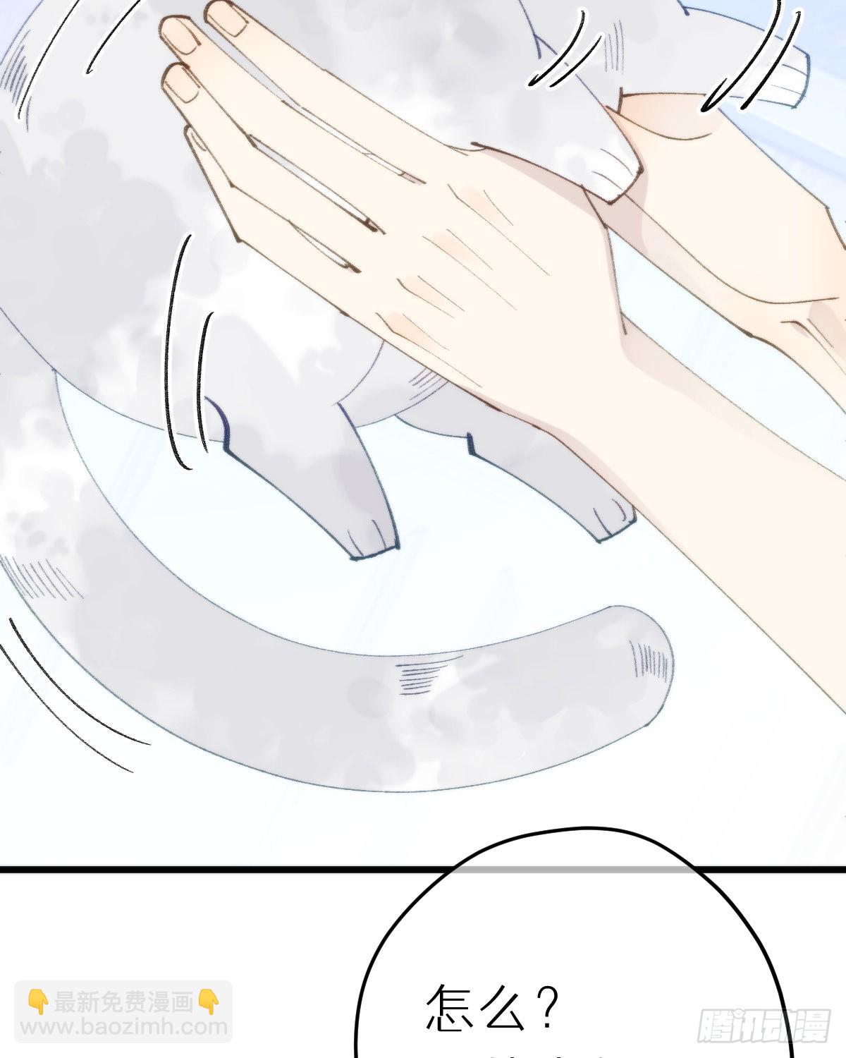 113.送你花花51