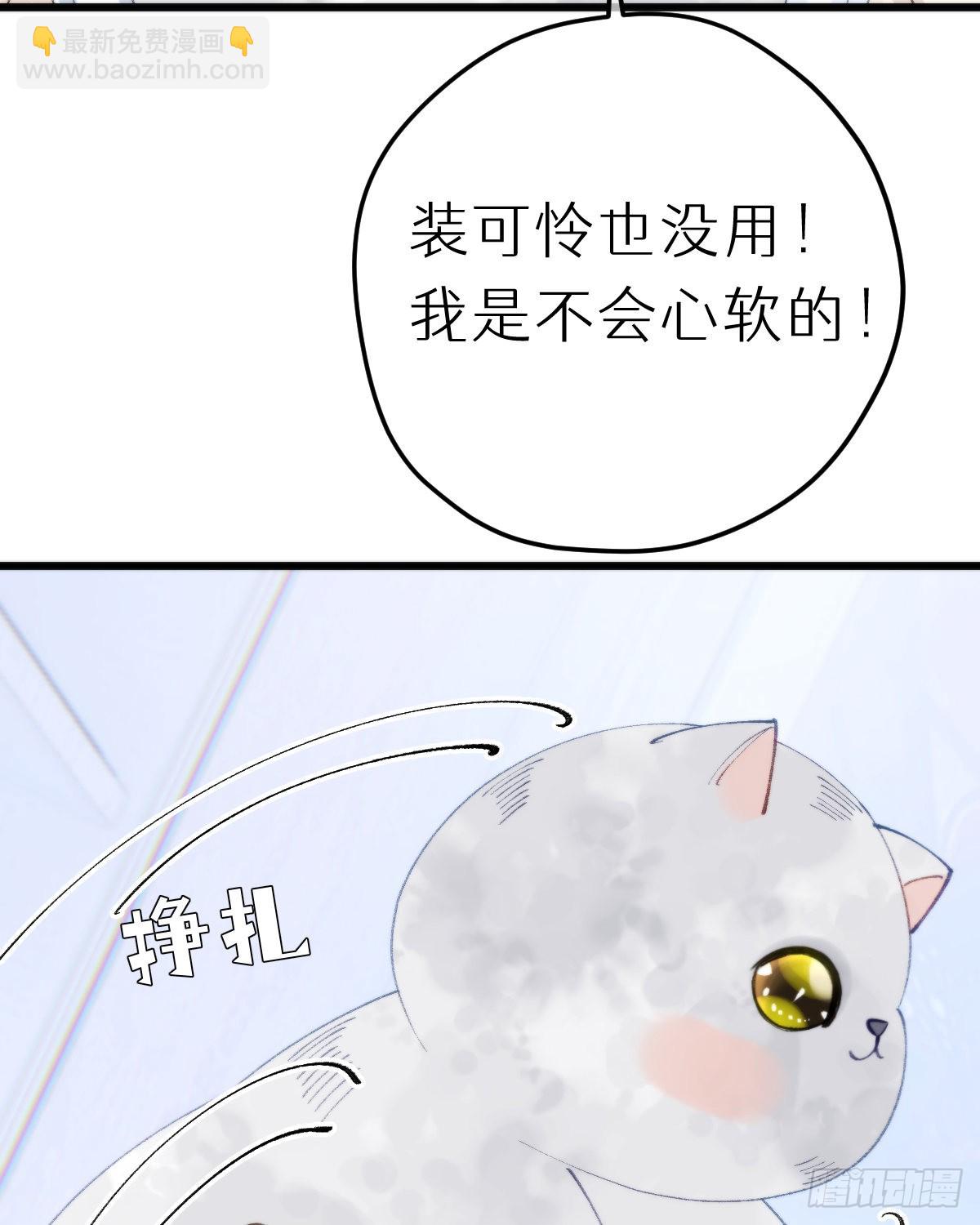 113.送你花花50