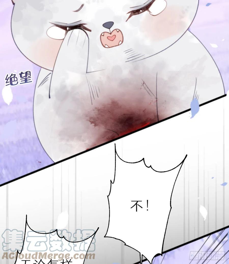 95.妖丹51