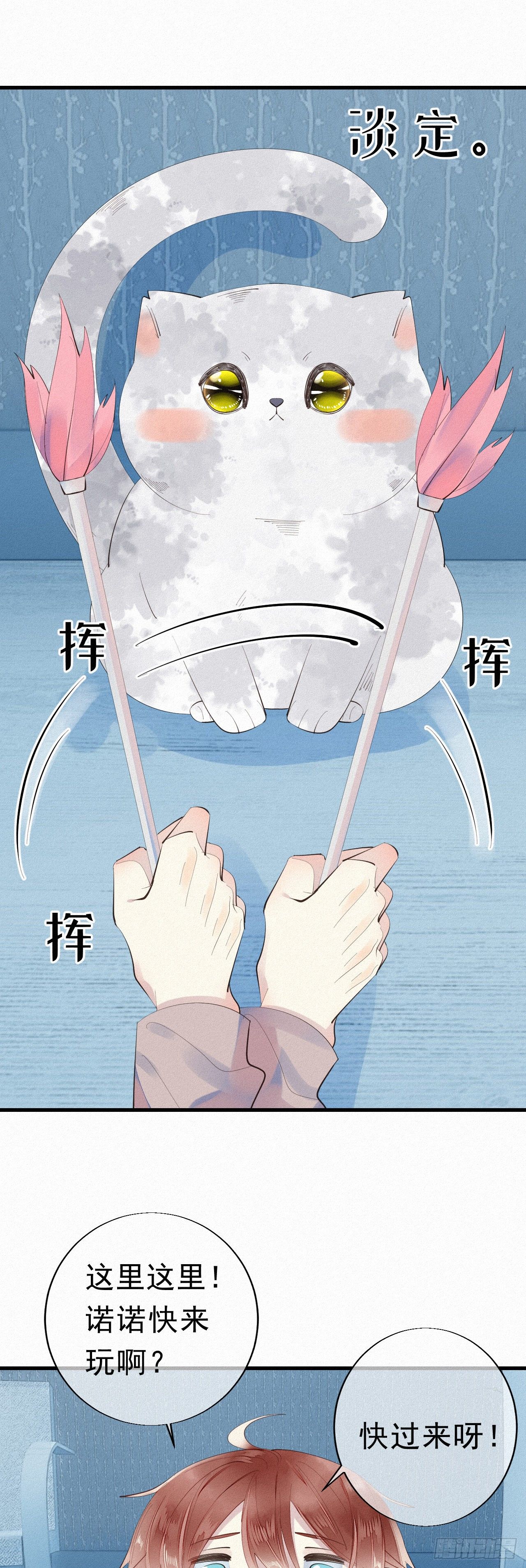 24.逗猫15