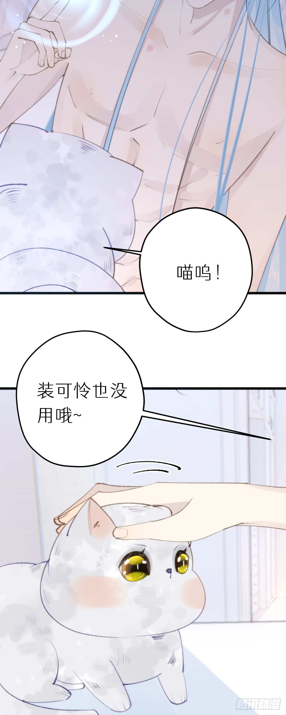 112.不听话的小猫咪29