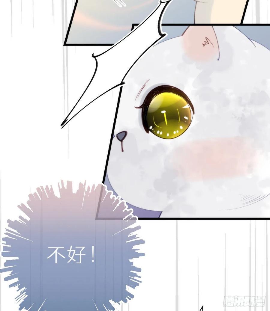 95.妖丹17