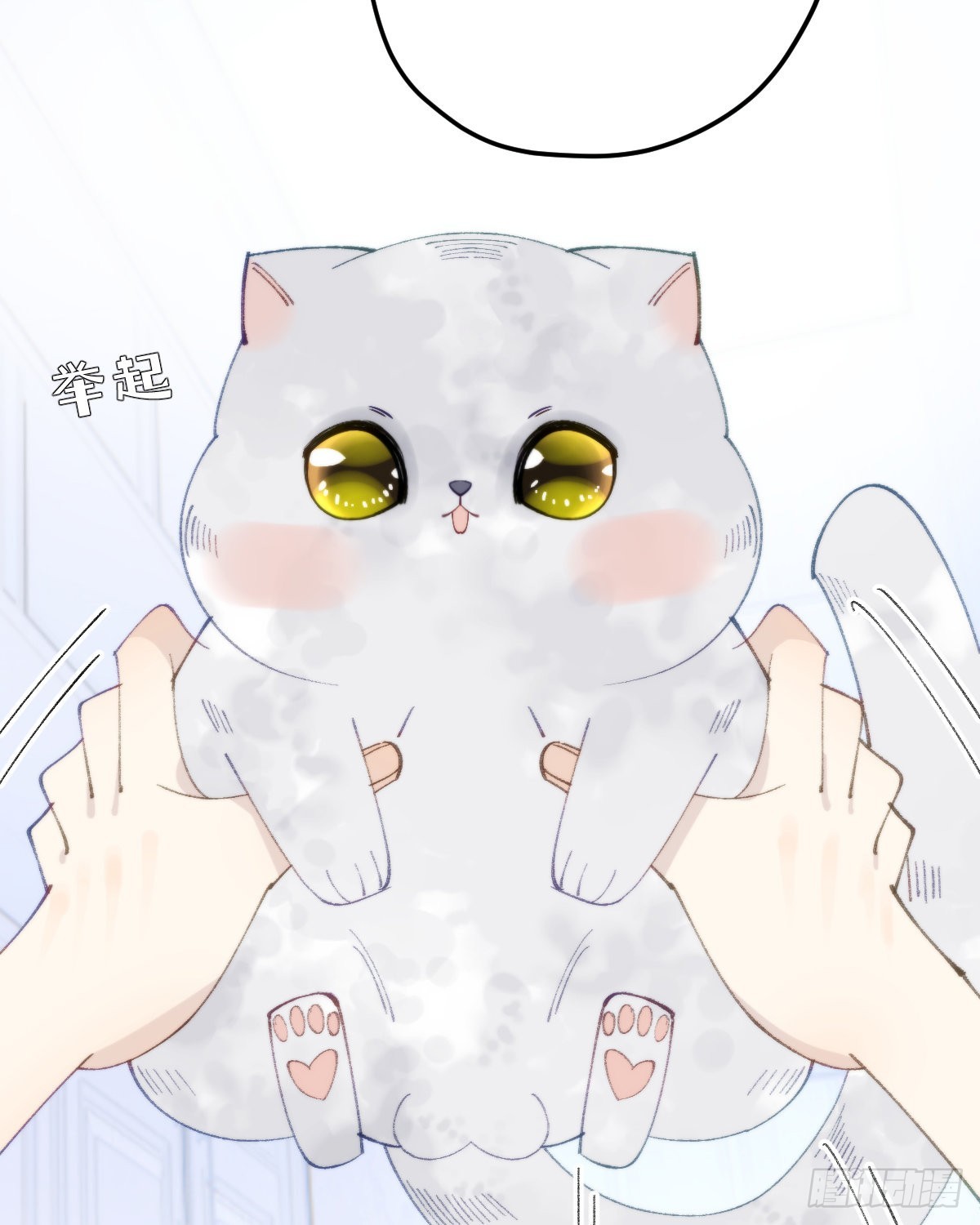 113.送你花花47
