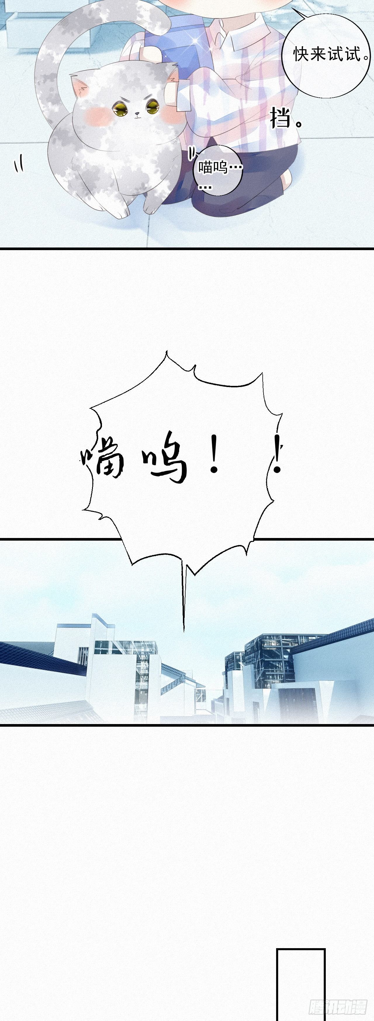 19.诺诺不见了？20