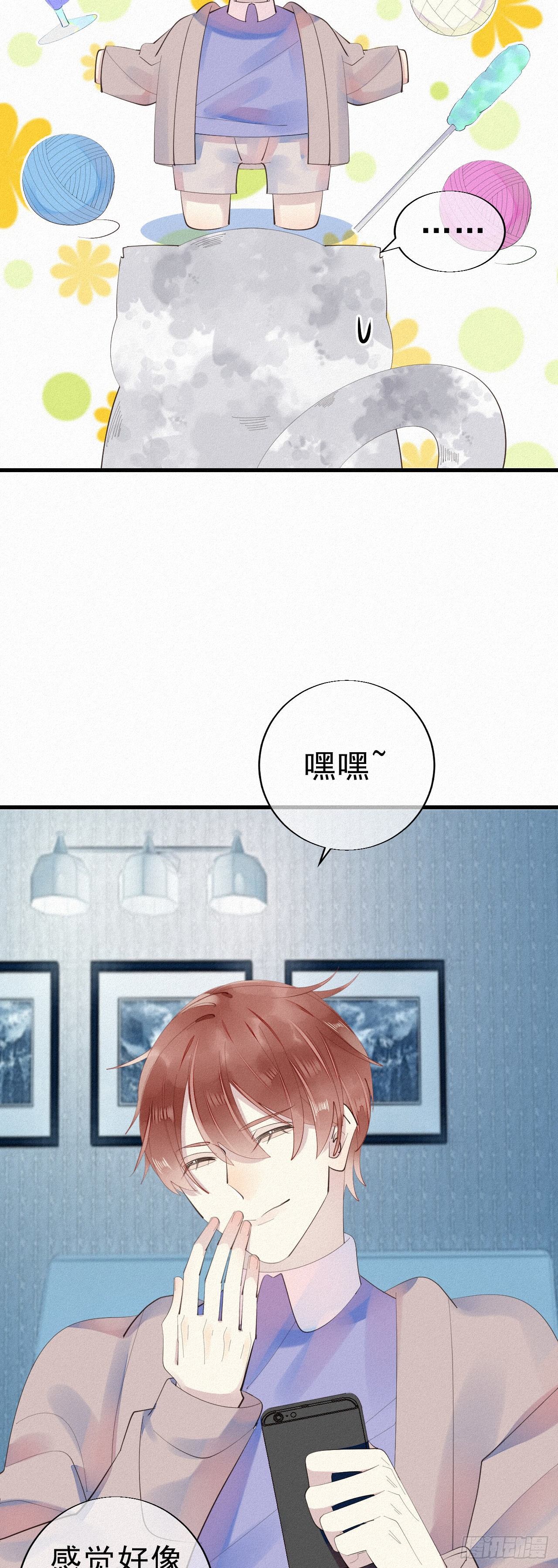 24.逗猫4