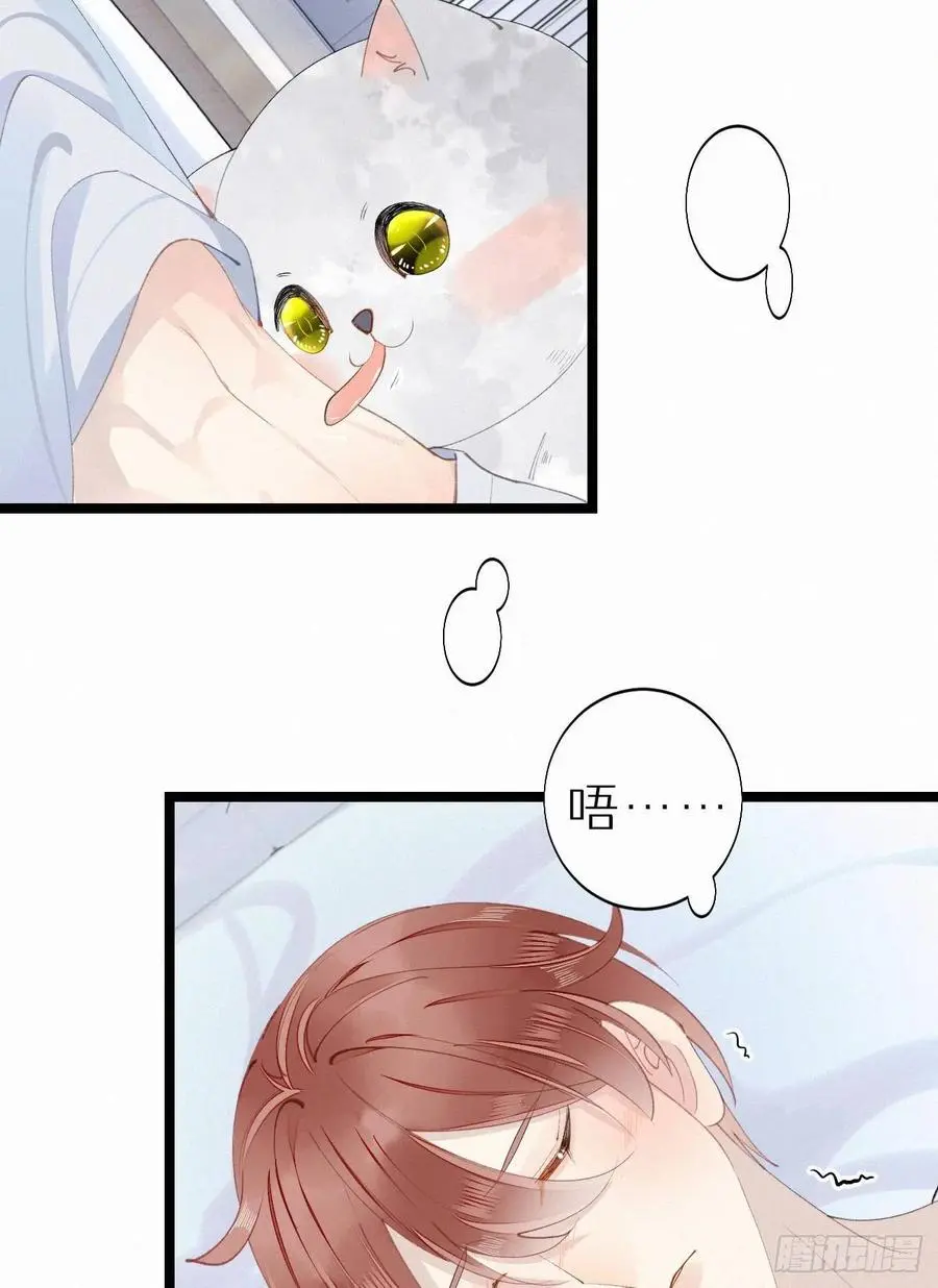 75.是时候安排绝育了17