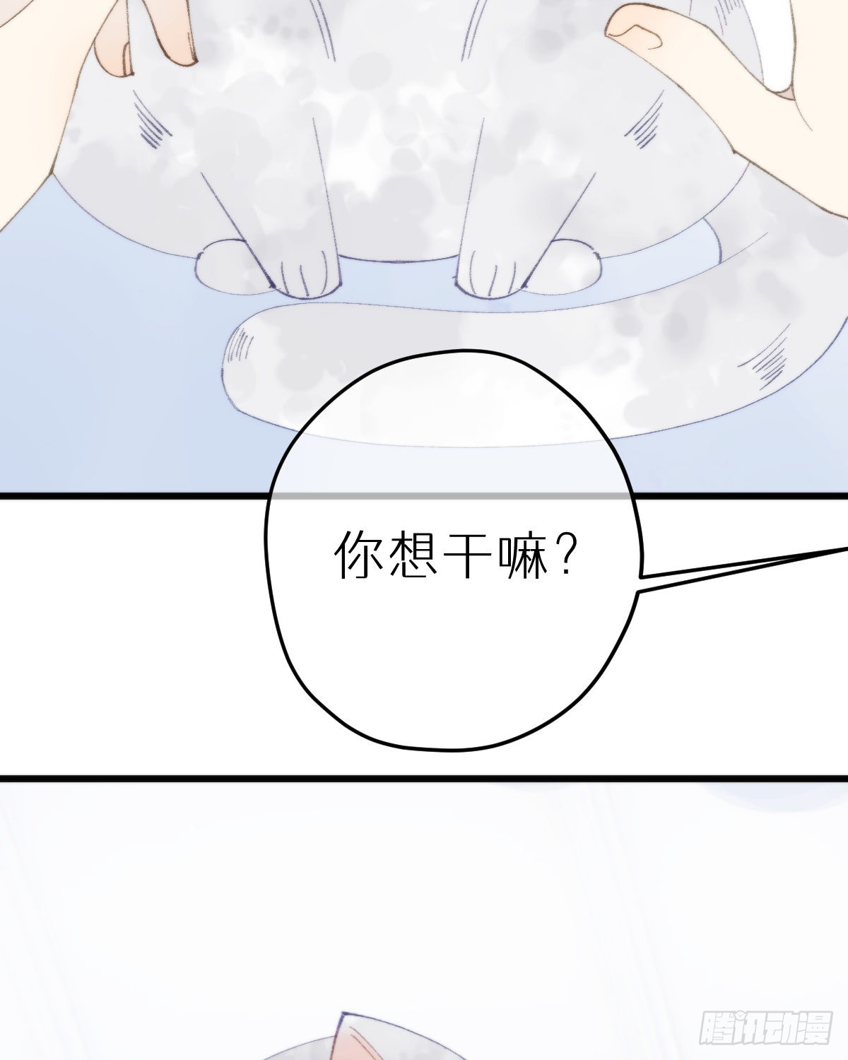 113.送你花花55