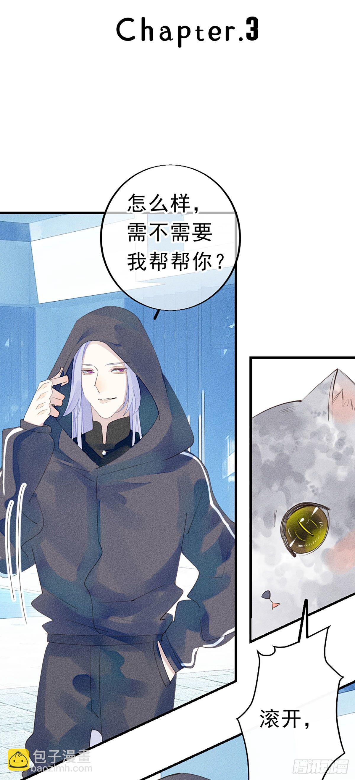 3.震惊，猫咪居然会说话1