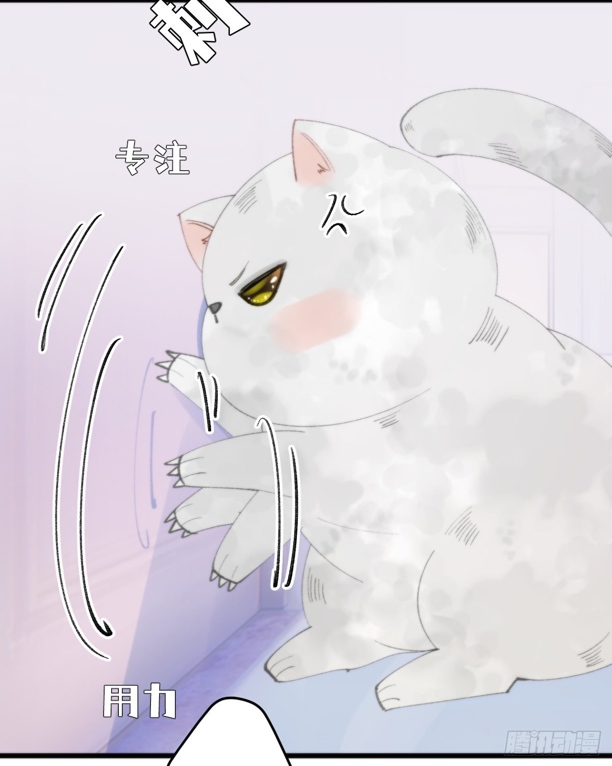 113.送你花花18