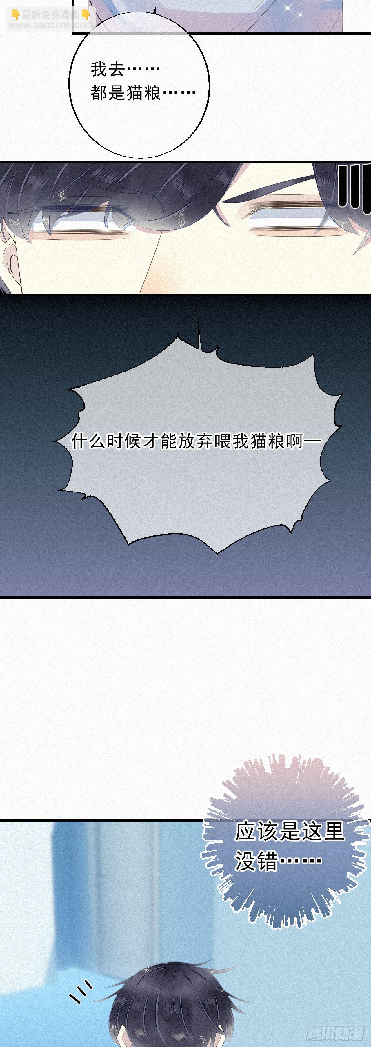19.诺诺不见了？10