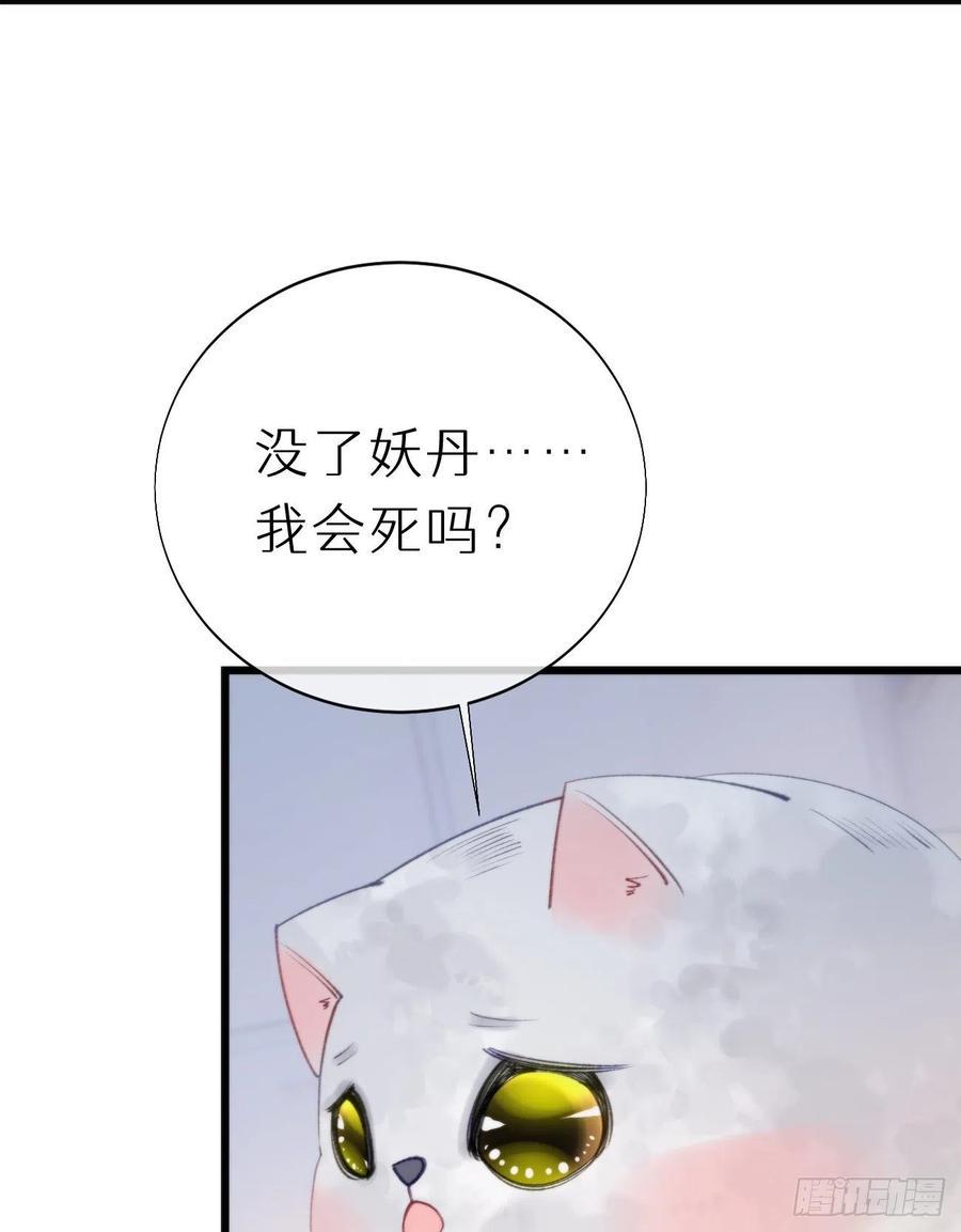 96.这就带你回家47