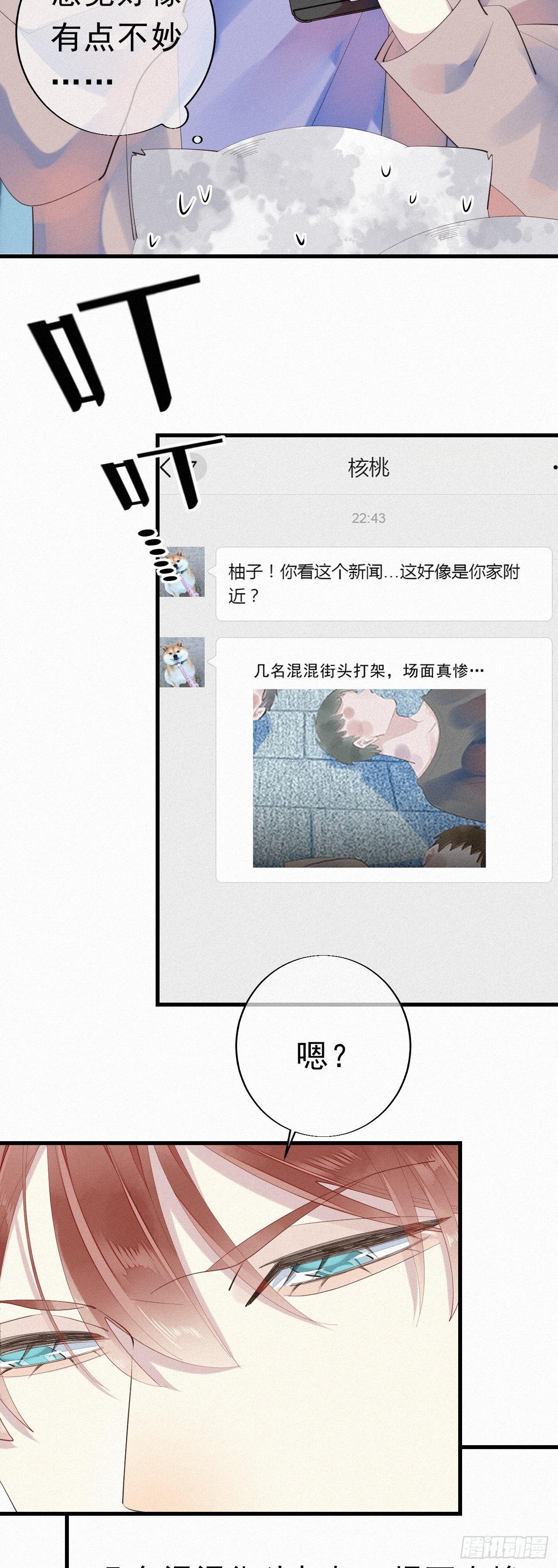 24.逗猫5
