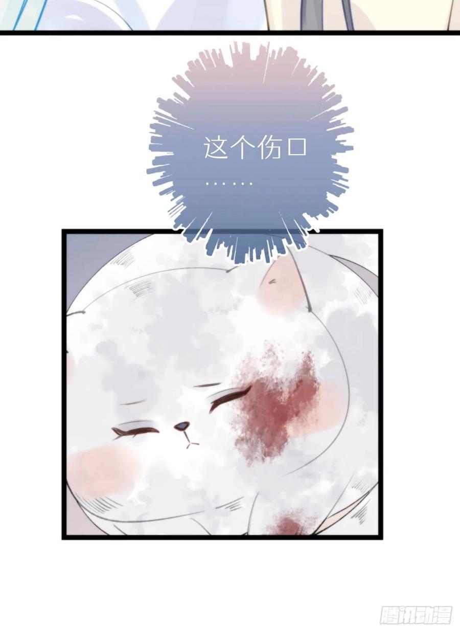90.完全吻合的伤口？50