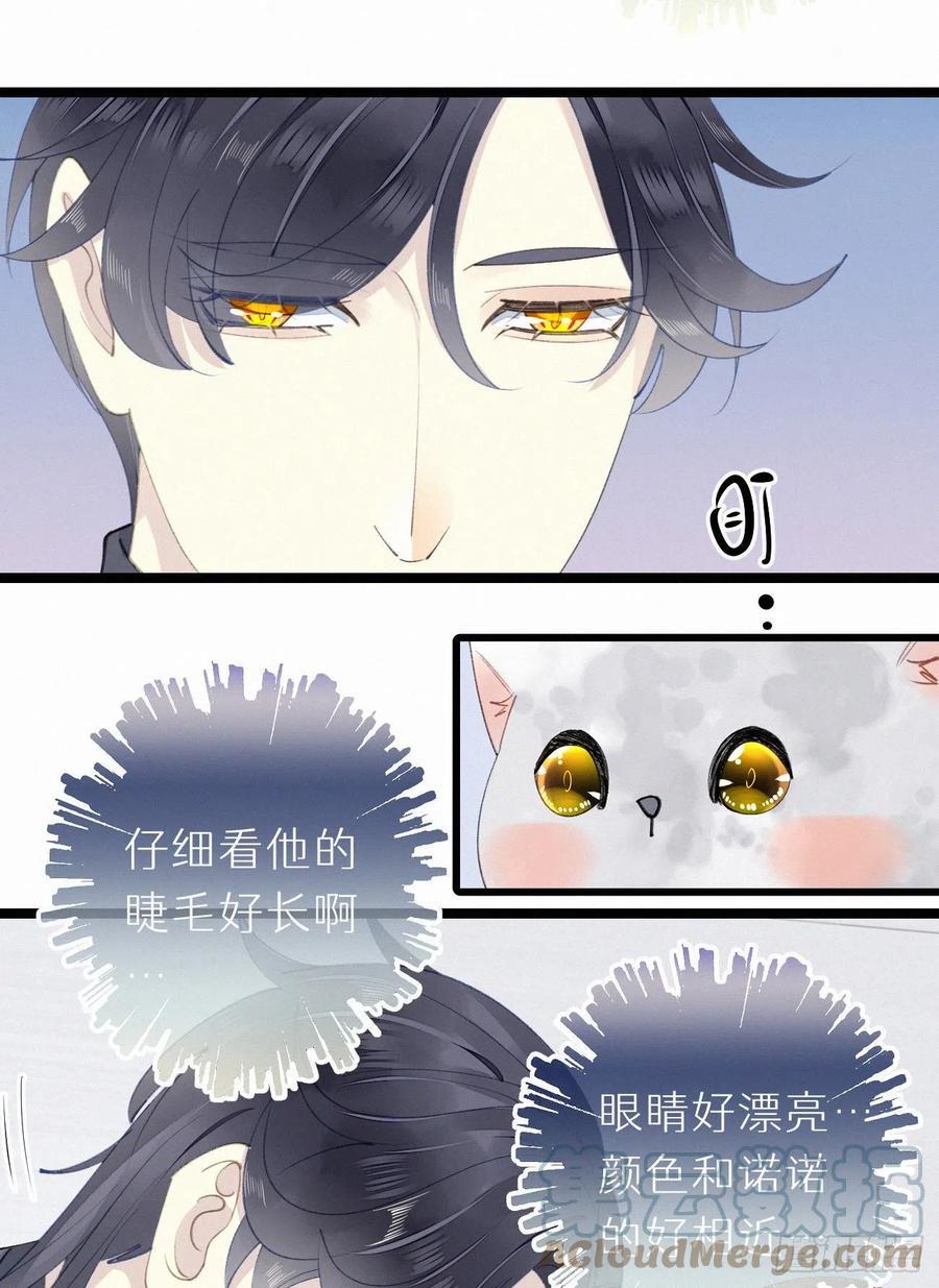 76.三个条件27