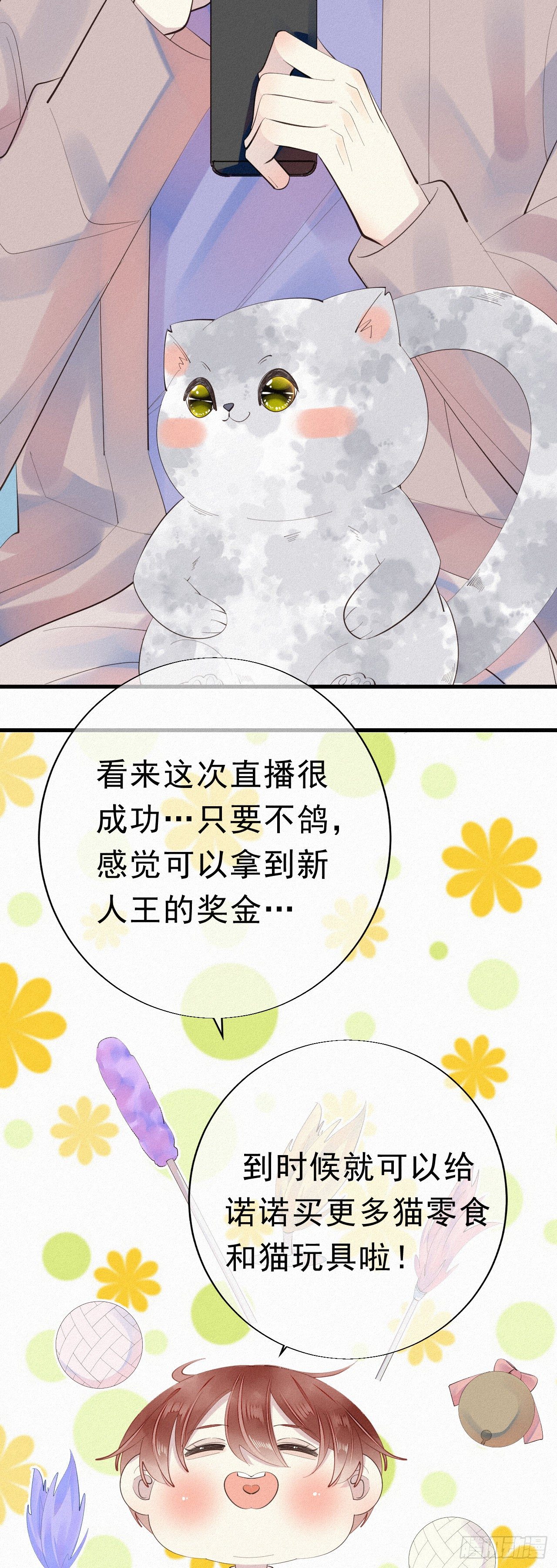 24.逗猫3