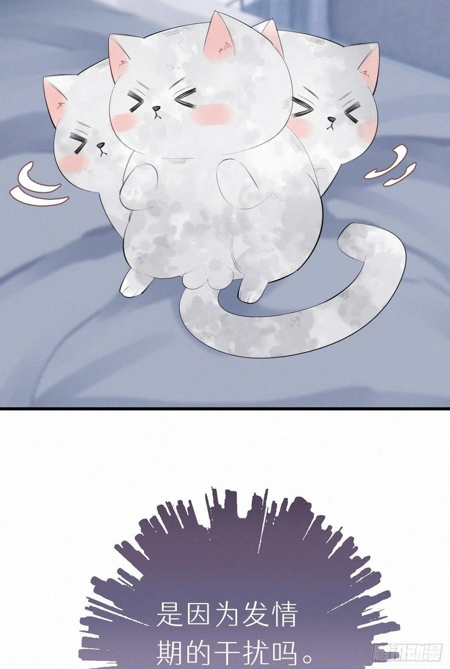 62.暴风雨前的宁静13