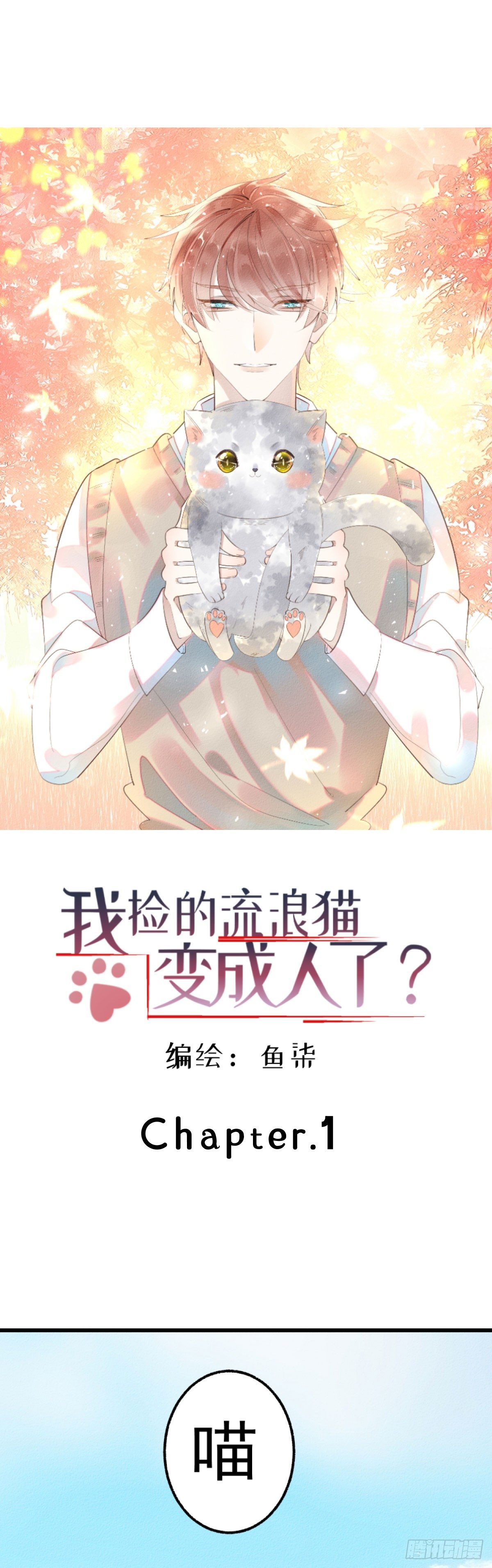 1.路遇一只小猫0