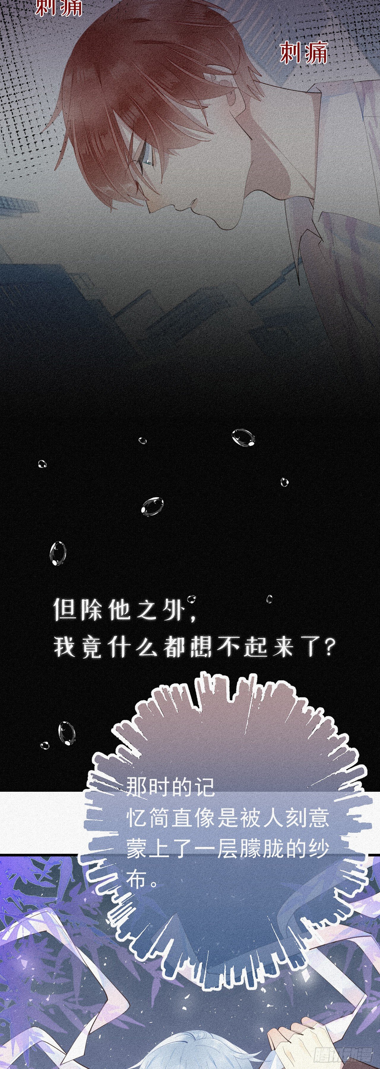 24.逗猫10