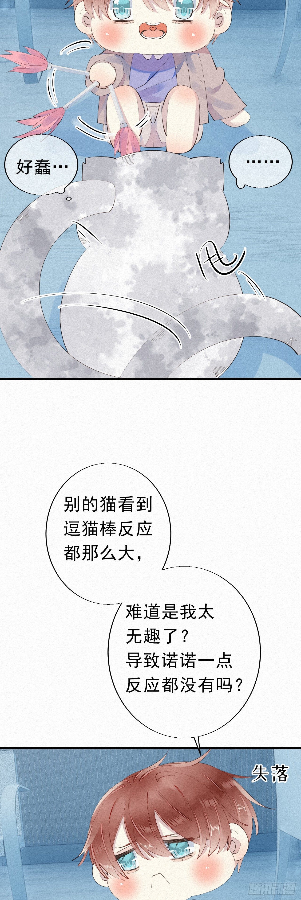 24.逗猫16