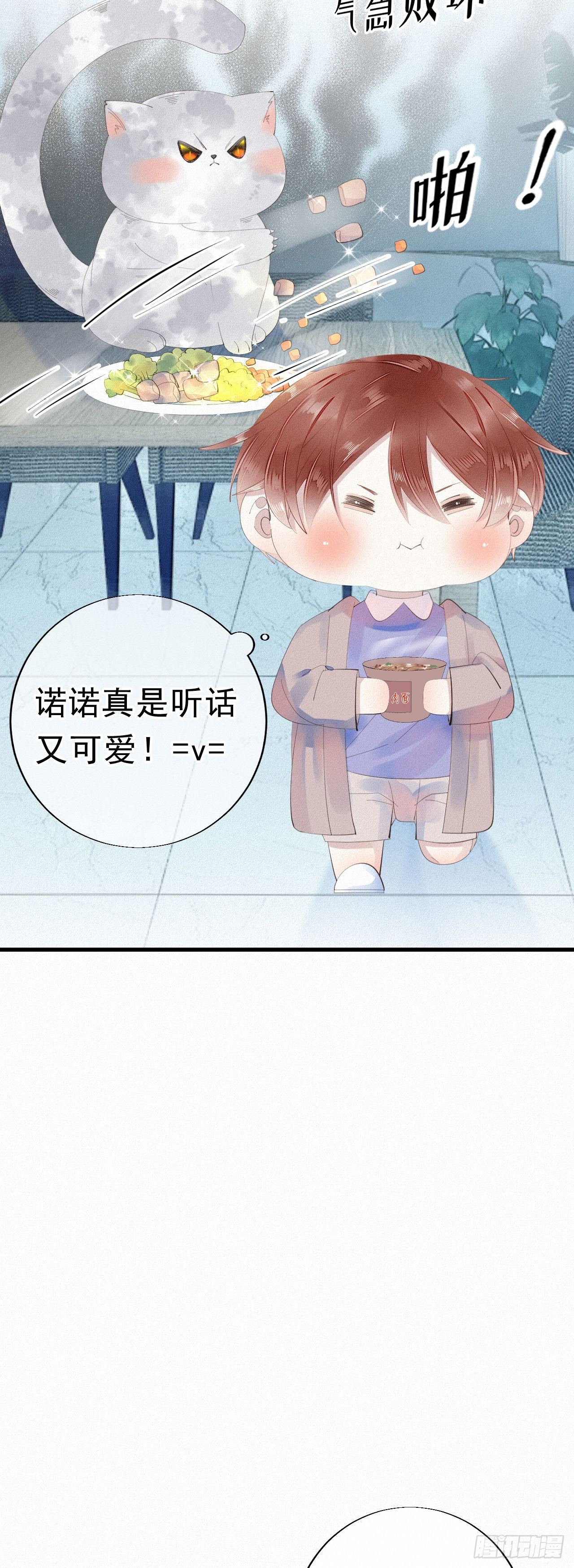20.这小猫还有两幅面孔呢！4