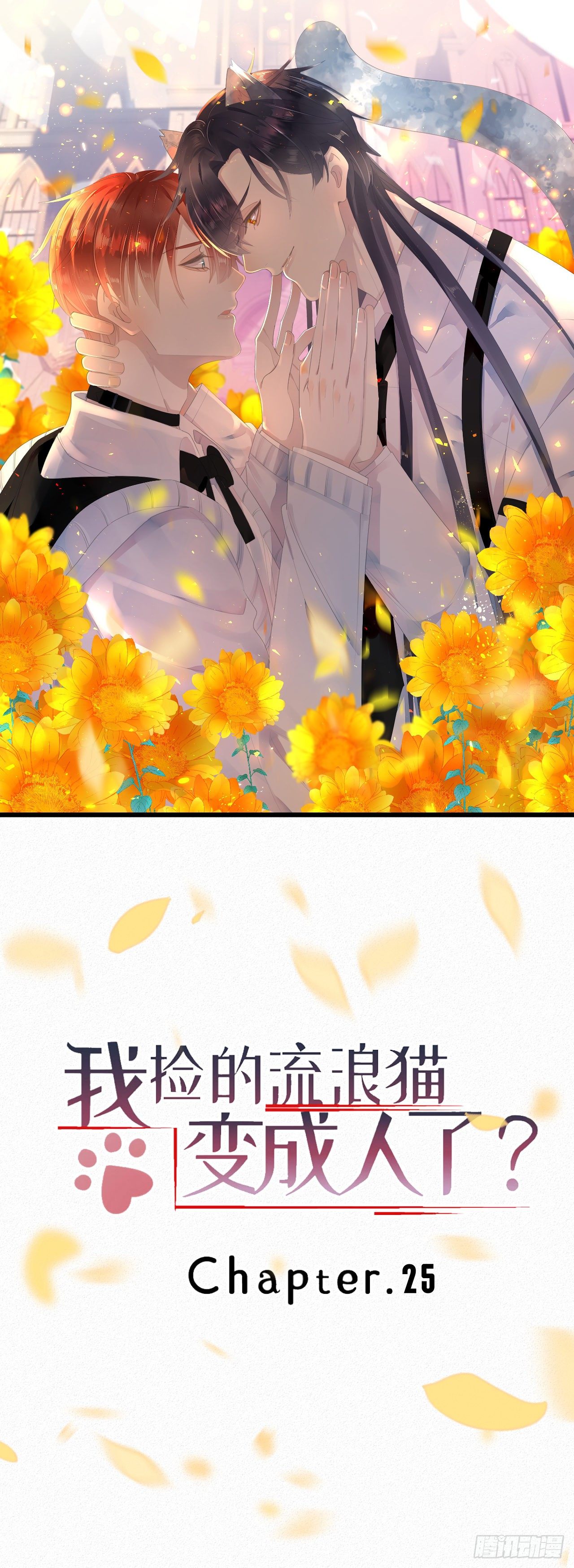25.取消资格0