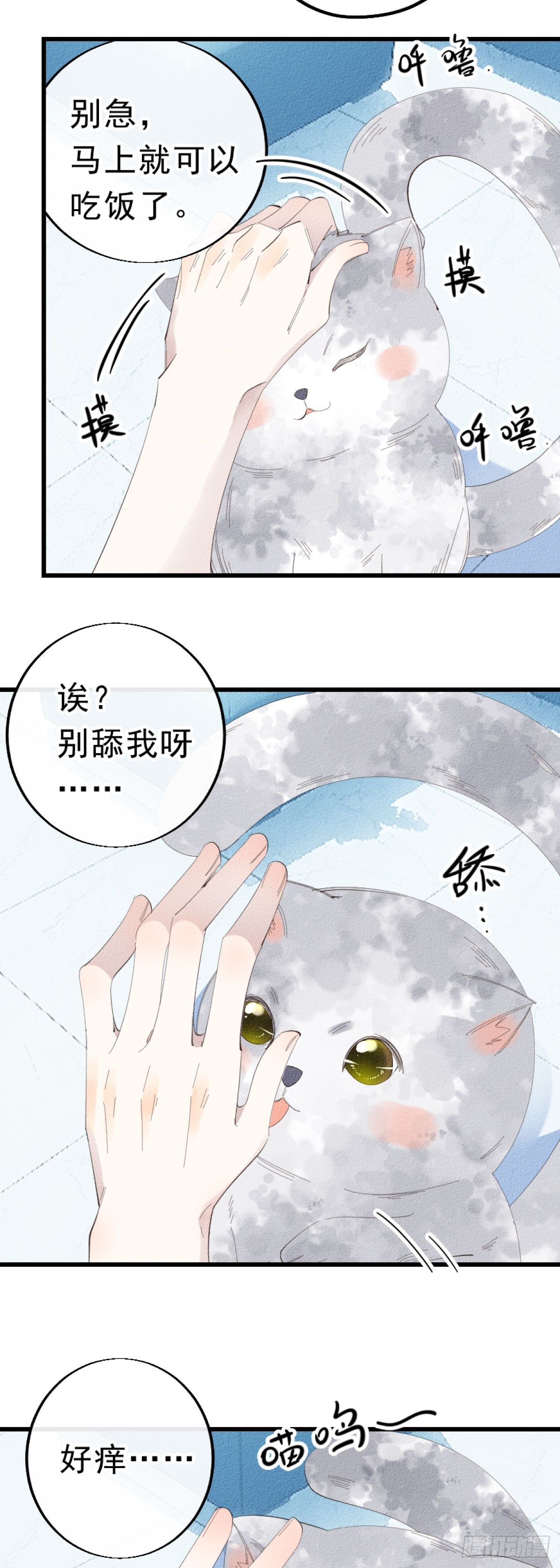 5.终于把小猫咪拐回家了！6
