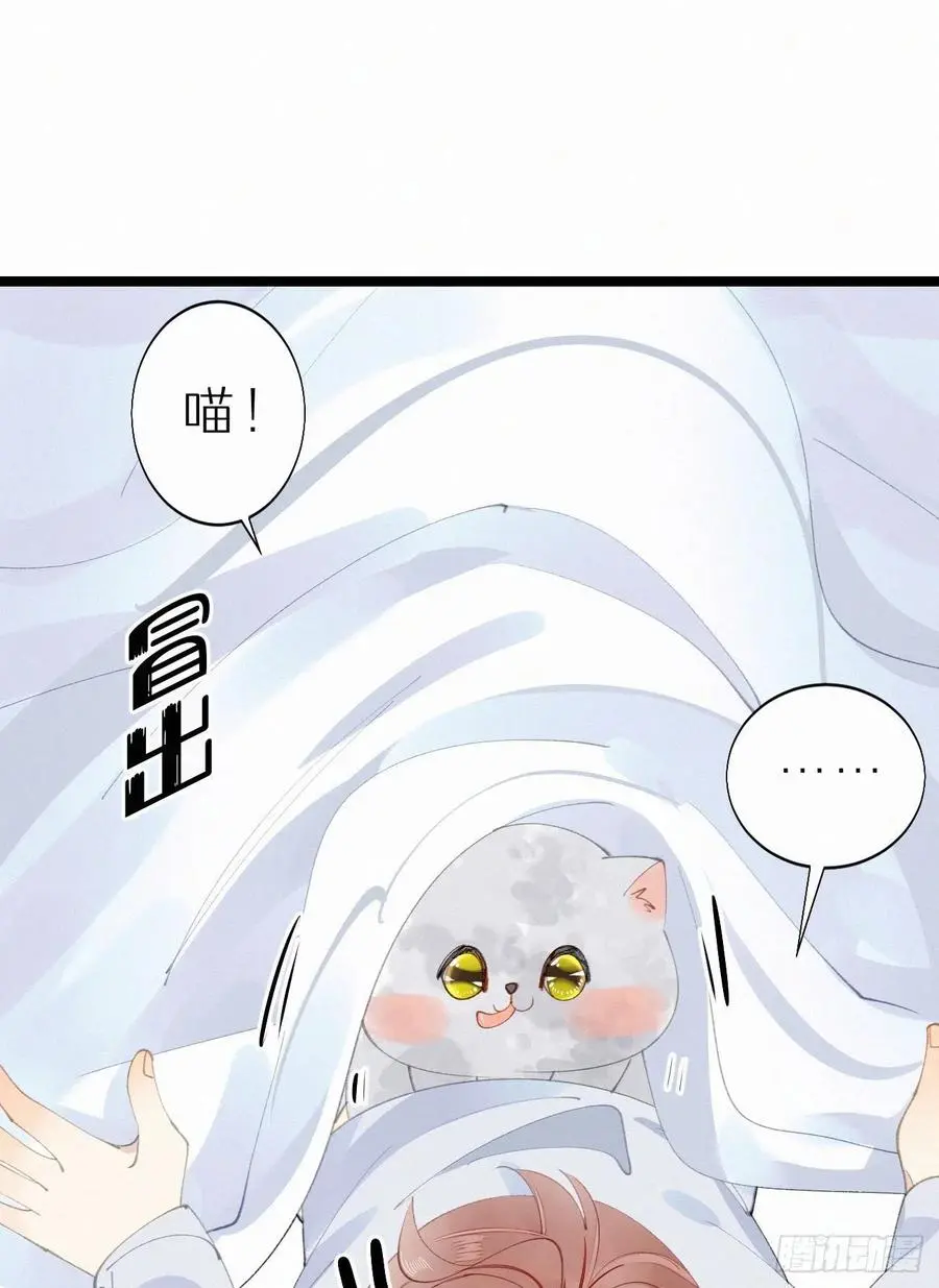 75.是时候安排绝育了23