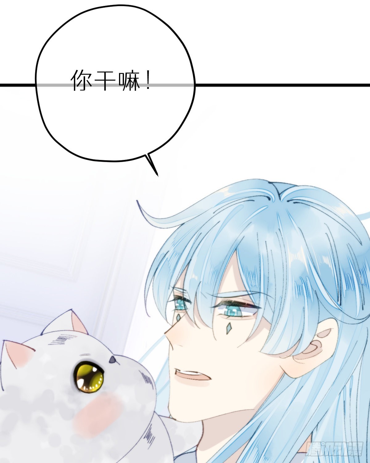113.送你花花41