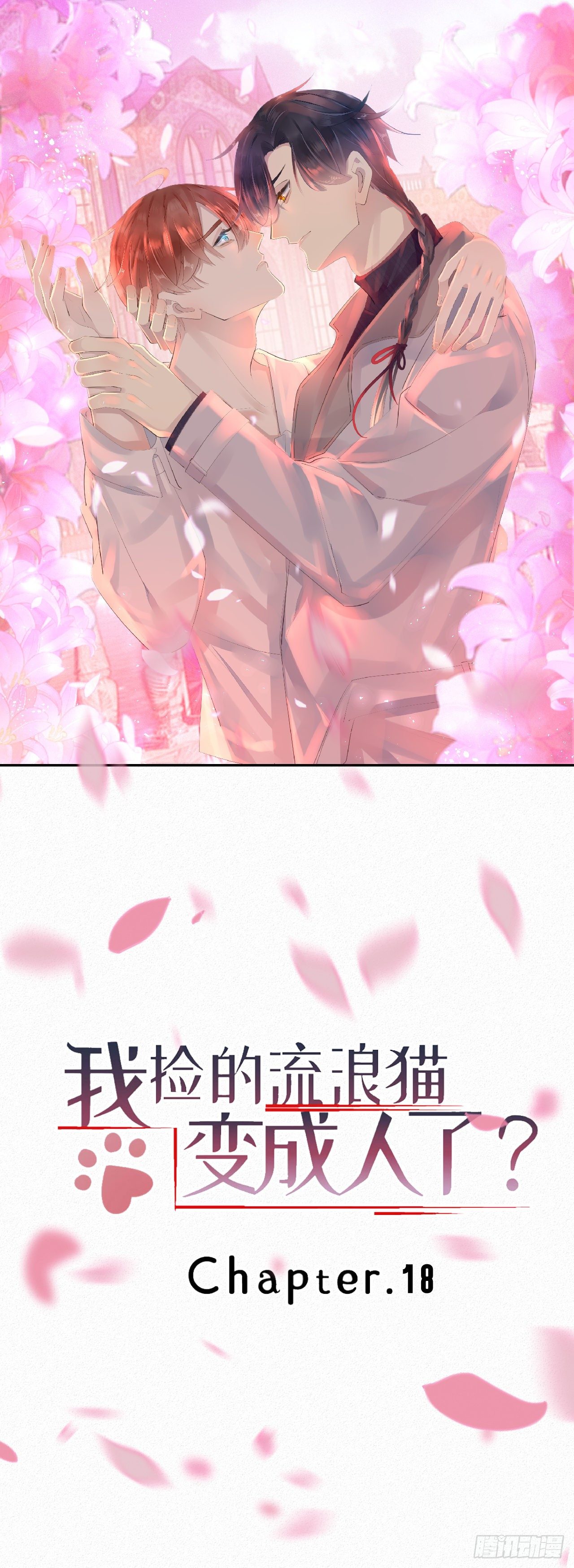 18.多管闲事的家伙0