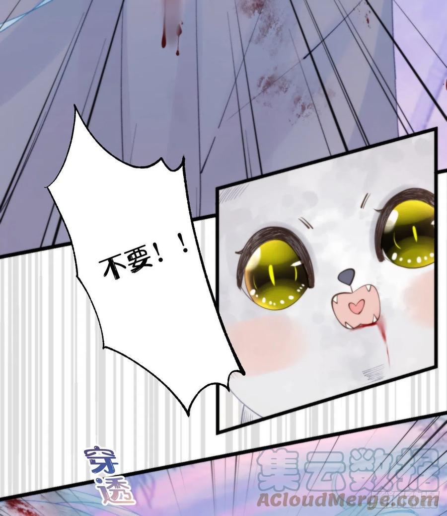 95.妖丹39