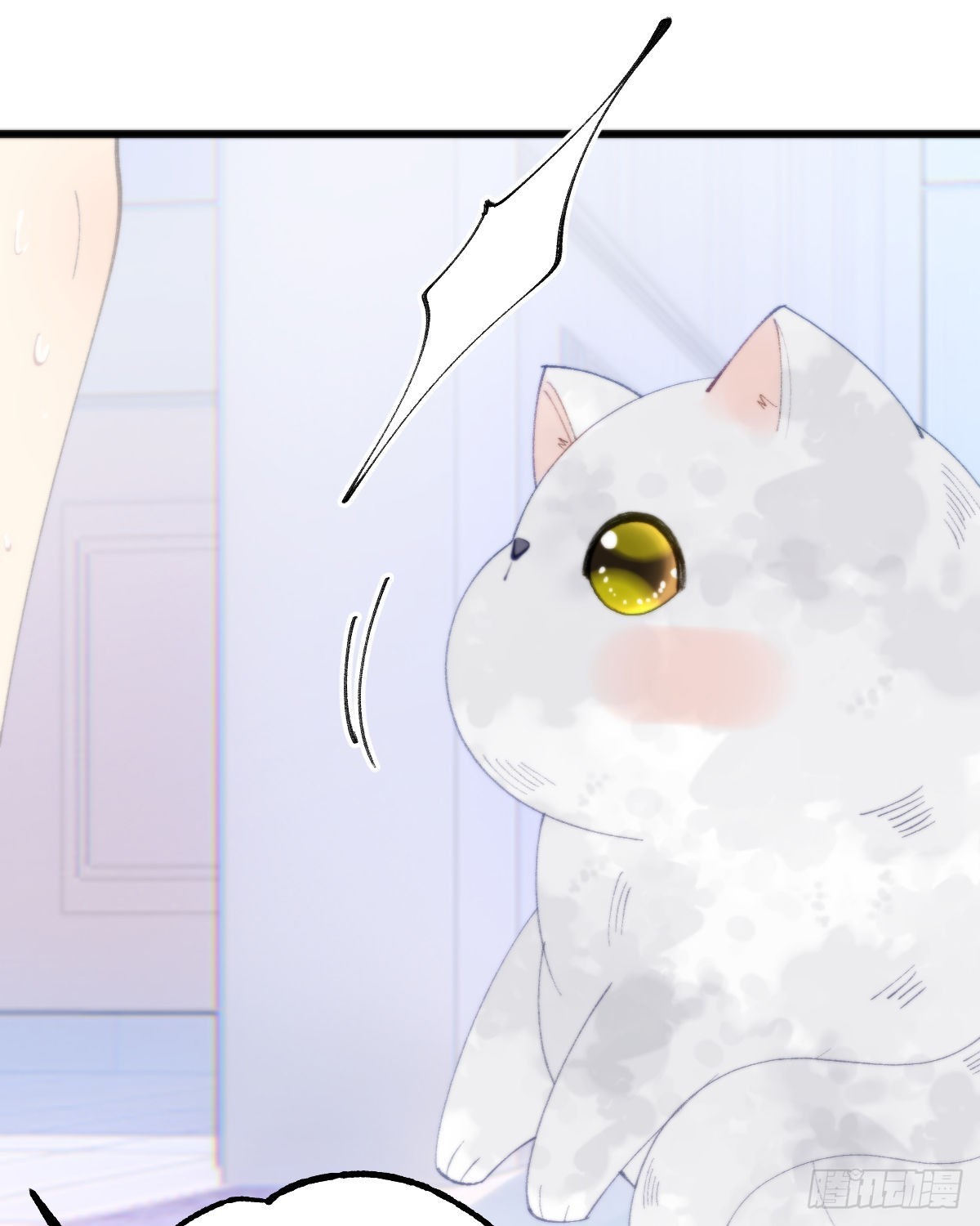 113.送你花花23