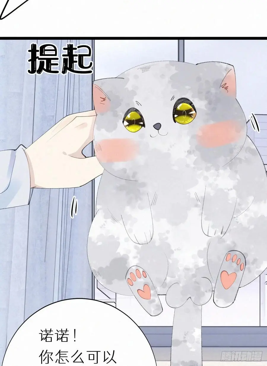 75.是时候安排绝育了25