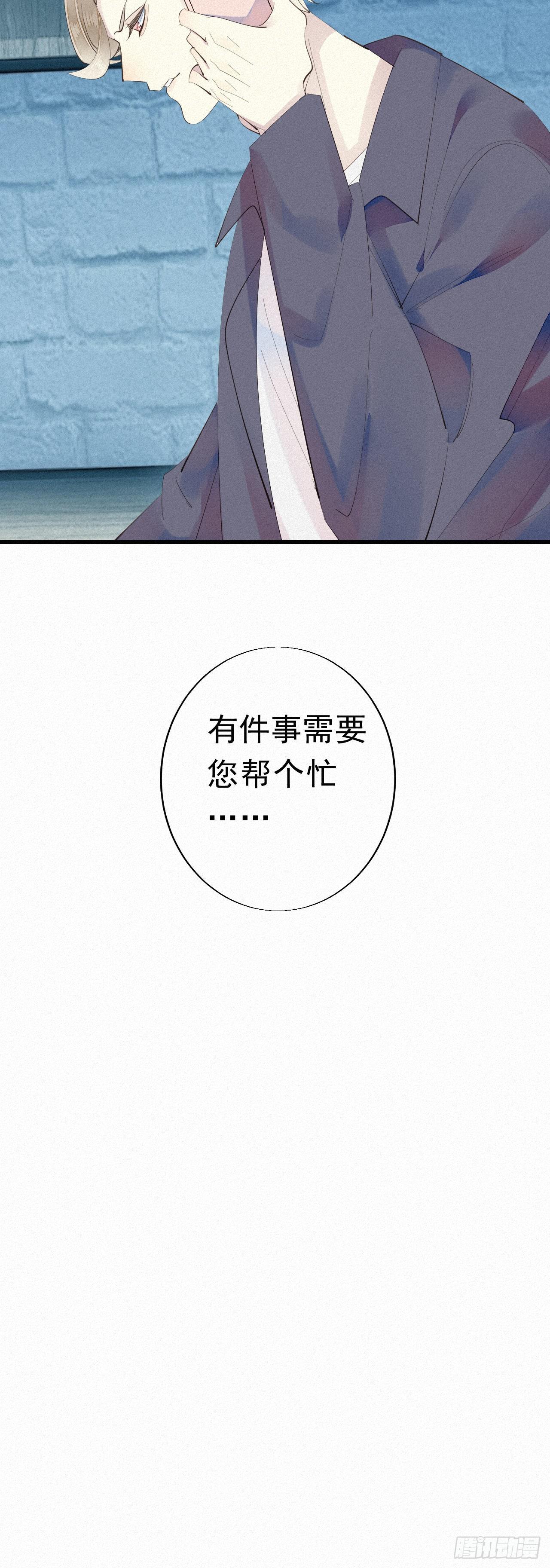 24.逗猫32