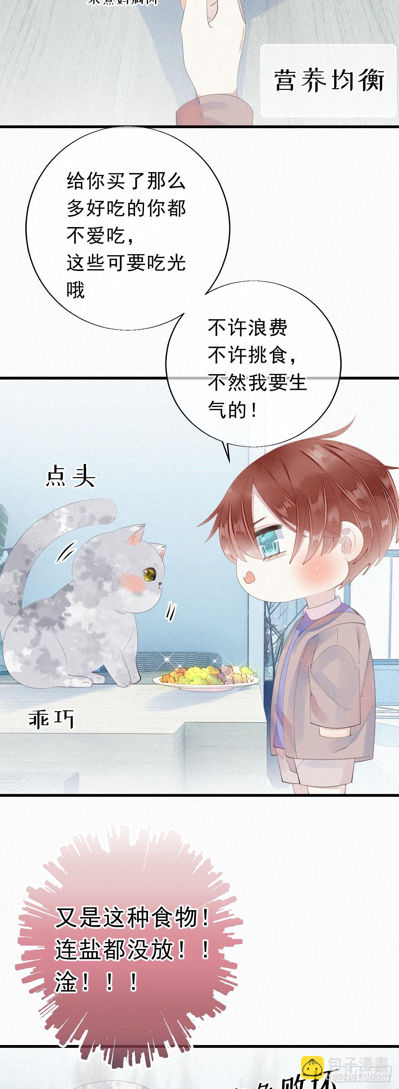 20.这小猫还有两幅面孔呢！3