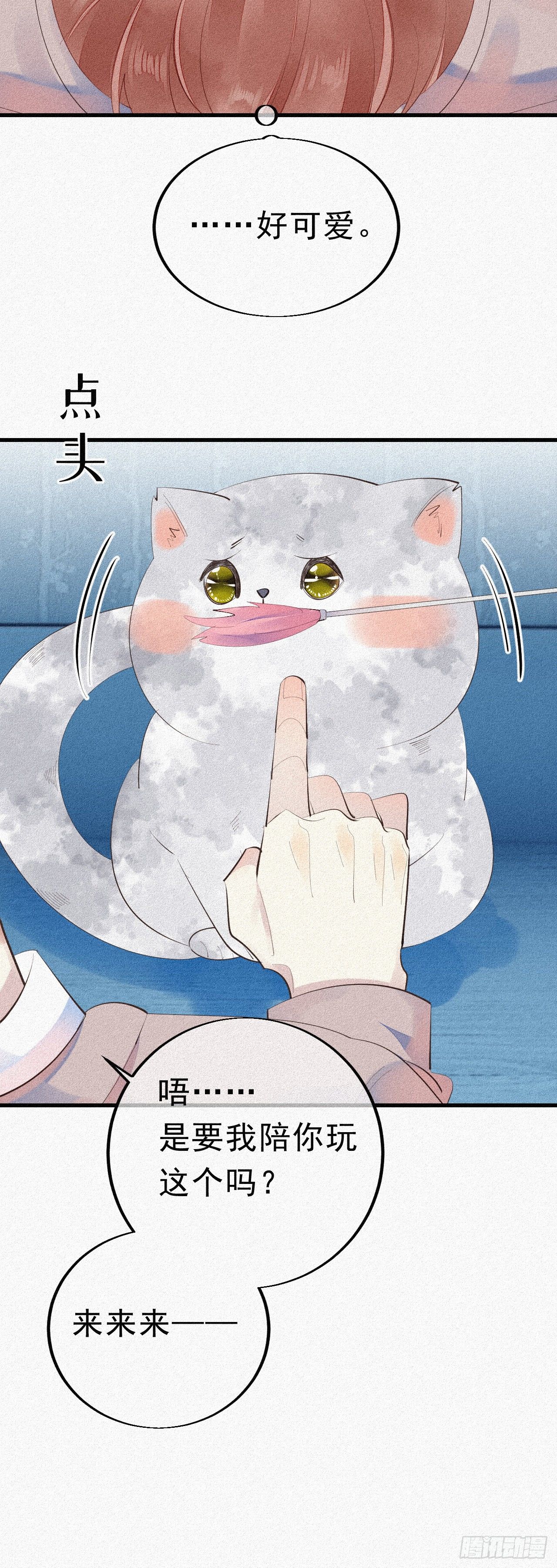 24.逗猫14