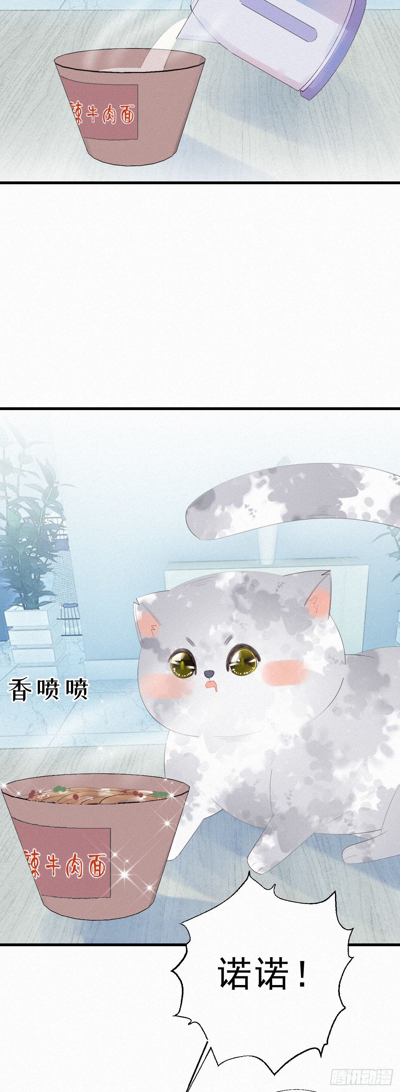 19.诺诺不见了？23
