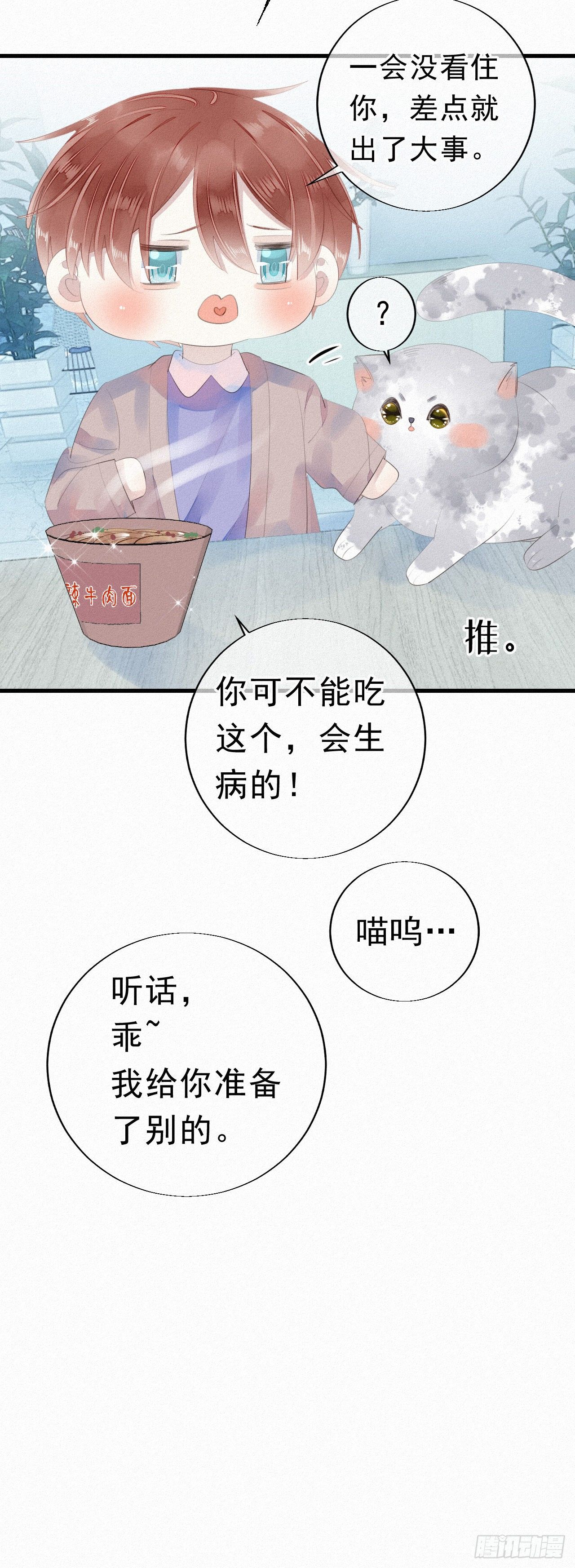 19.诺诺不见了？24