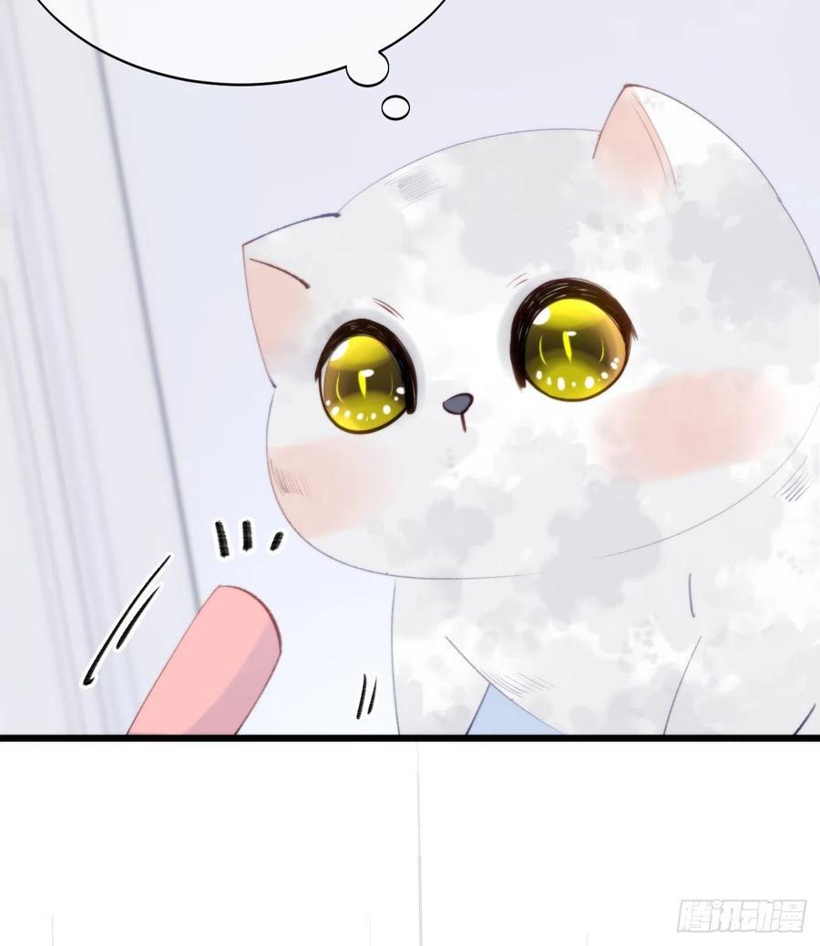 95.妖丹13