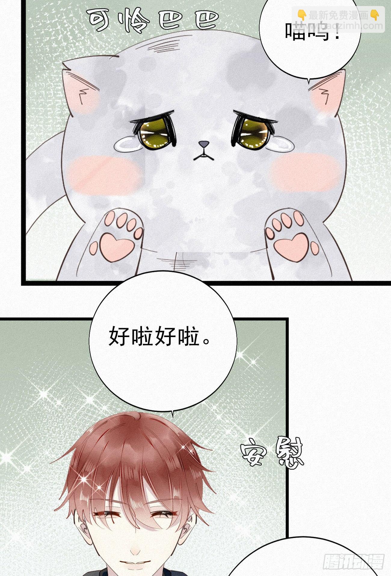 35.面基会6
