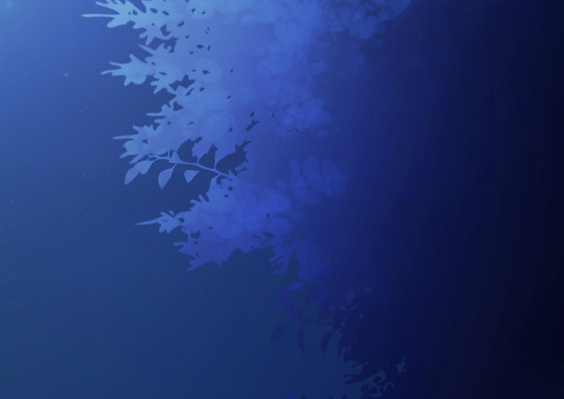 野蜘蛛·四7
