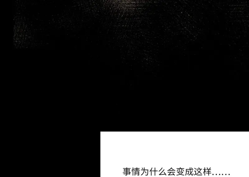 宠物食粮·一34