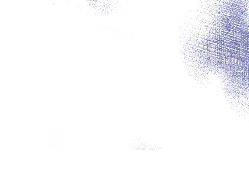 野蜘蛛·五205