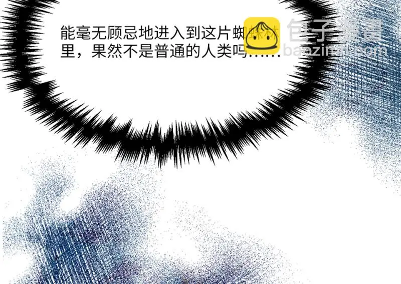 野蜘蛛·四82