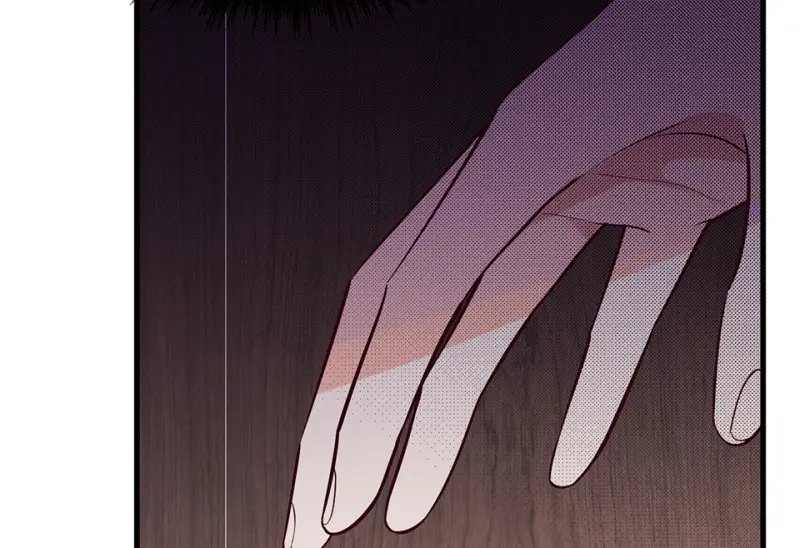 野蜘蛛·一86