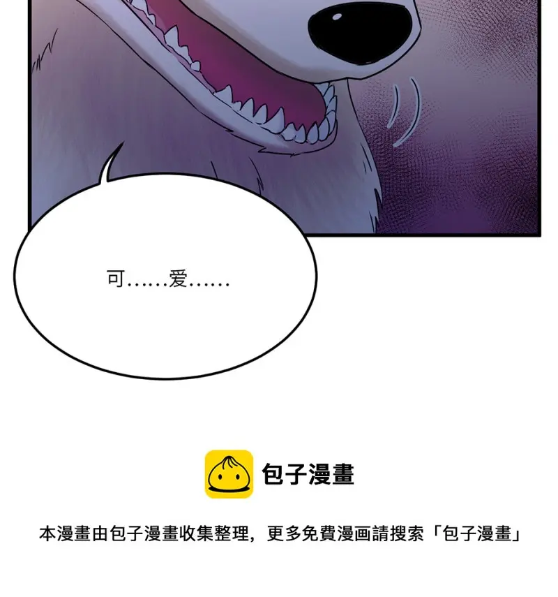 宠物食粮·七150